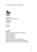 Biznesa plāns 'Bērnu preču veikals "Laumiņa"', 12.