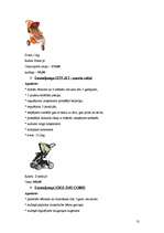 Biznesa plāns 'Bērnu preču veikals "Laumiņa"', 13.