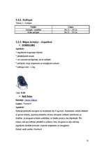 Biznesa plāns 'Bērnu preču veikals "Laumiņa"', 18.