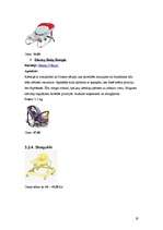 Biznesa plāns 'Bērnu preču veikals "Laumiņa"', 19.