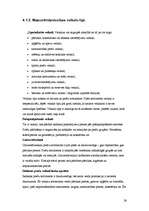 Biznesa plāns 'Bērnu preču veikals "Laumiņa"', 26.