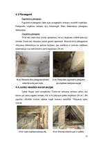 Prezentācija 'Būvju uzturēšana. Lāčplēša iela 30', 15.