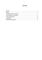 Referāts 'Mugurkaulāja jostas daļas traumas, to ārstēšana un profilakse', 2.