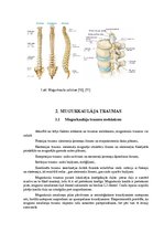 Referāts 'Mugurkaulāja jostas daļas traumas, to ārstēšana un profilakse', 5.