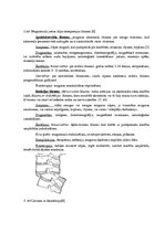 Referāts 'Mugurkaulāja jostas daļas traumas, to ārstēšana un profilakse', 7.