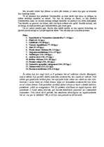 Konspekts 'Eduards Virza "Straumēni"', 4.