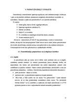 Prakses atskaite 'Prakses atskaite finanšu grāmatvedībā', 16.