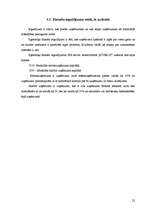 Prakses atskaite 'Prakses atskaite finanšu grāmatvedībā', 22.