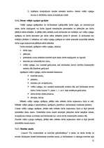 Prakses atskaite 'Prakses atskaite finanšu grāmatvedībā', 25.