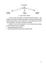 Prakses atskaite 'Prakses atskaite finanšu grāmatvedībā', 45.