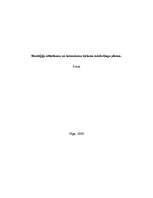 Eseja 'Stratēģiju attīstīšana un īstenošana tūrisma mārketinga plānos', 1.