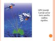 Prezentācija 'Satelītu sakari, globālā pozicionēšanas sistēma un ģeodēzija', 13.