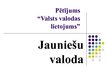 Prezentācija 'Pētījums "Valsts valodas lietojums". Jauniešu valoda', 1.