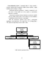 Biznesa plāns 'Skolēnu mācību firmas SIA "Pranspiram" biznesa plāns', 14.