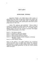 Referāts 'Finanšu uzskaite', 3.