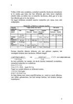 Referāts 'Finanšu uzskaite', 8.