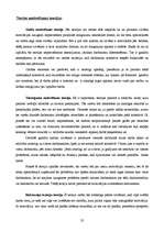 Referāts 'Uzņēmuma "Lattelekom" vadīšanas izpēte un novērtēšana', 32.