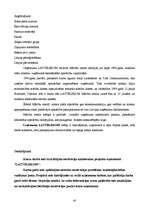 Referāts 'Uzņēmuma "Lattelekom" vadīšanas izpēte un novērtēšana', 40.