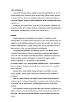 Referāts 'Priekšstati pr cilvēku un viņa dzīves ceļu Senajā Indijā', 9.