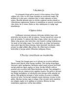 Referāts 'Tauriņi', 4.