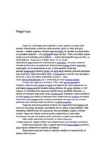 Referāts 'Nogurums', 4.