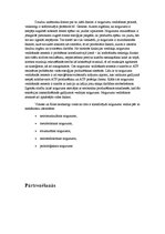 Referāts 'Nogurums', 7.