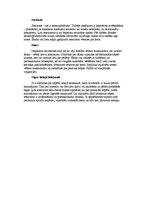 Referāts 'Nogurums', 13.