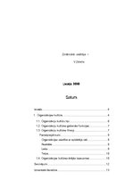 Referāts 'Liepājas Universitātes organizācijas kultūra', 2.