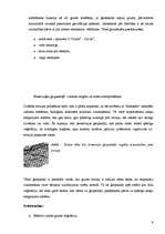 Referāts 'Jaunākās tendences grunts nostiprināšanā', 9.