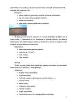 Referāts 'Jaunākās tendences grunts nostiprināšanā', 11.