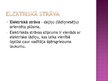 Prezentācija 'Elektriskā strāva vakuumā', 2.