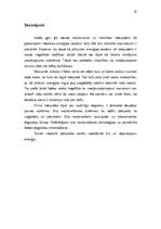 Referāts 'Ūdeņraža enerģija', 19.