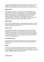 Konspekts 'Basku tauta', 3.