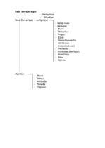 Referāts 'Rozes - mūsu planētas krāšņums', 6.