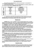 Konspekts 'Instrumentālā mūzika', 1.