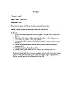 Konspekts 'Integrētā rotaļnodarbība pirmsskolā', 1.