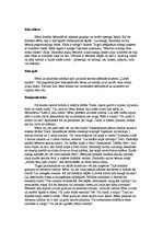 Konspekts 'Integrētā rotaļnodarbība pirmsskolā', 2.