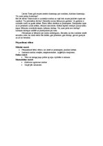 Konspekts 'Integrētā rotaļnodarbība pirmsskolā', 3.