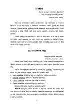 Eseja 'Pārdomas par patiesību un meliem', 2.