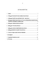 Referāts 'Lielākie revīzijas skandāli pasaulē, to ietekme mūsdienās', 2.