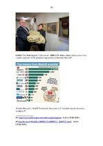 Referāts 'Lielākie revīzijas skandāli pasaulē, to ietekme mūsdienās', 30.