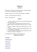 Referāts 'Leo Kokles daiļrades izpēte', 6.