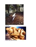 Konspekts 'Tomass Hezerviks', 5.