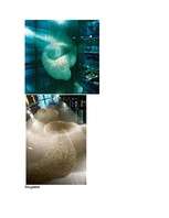 Konspekts 'Tomass Hezerviks', 7.