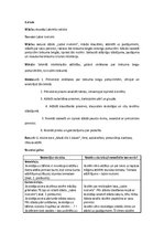 Konspekts 'Konspekts latviešu valodas nodarbībai', 1.