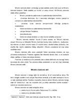 Referāts 'Ministru kabinets', 7.