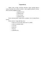 Referāts 'Ministru kabinets', 11.