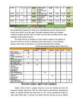 Biznesa plāns 'SIA "Karaga"', 20.