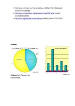 Biznesa plāns 'SIA "Karaga"', 23.