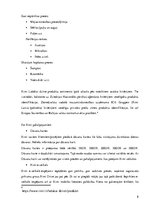 Prakses atskaite 'Atskaite par "Rimi"', 8.